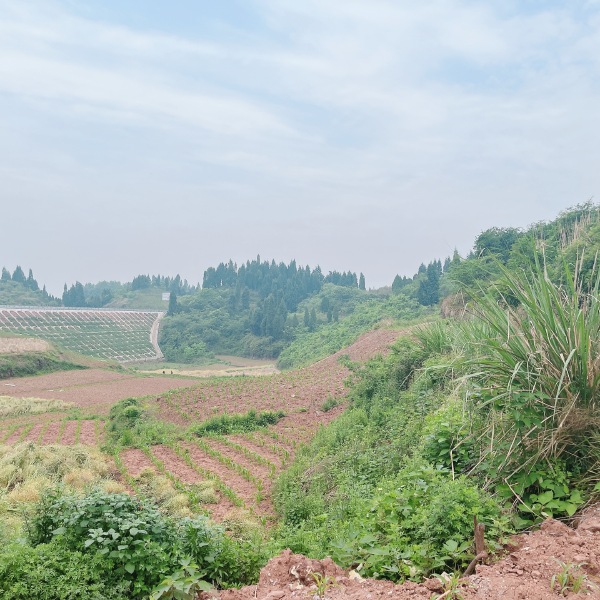 高山村厂房建设用地，500亩，在高速下道口，距离高速1公里