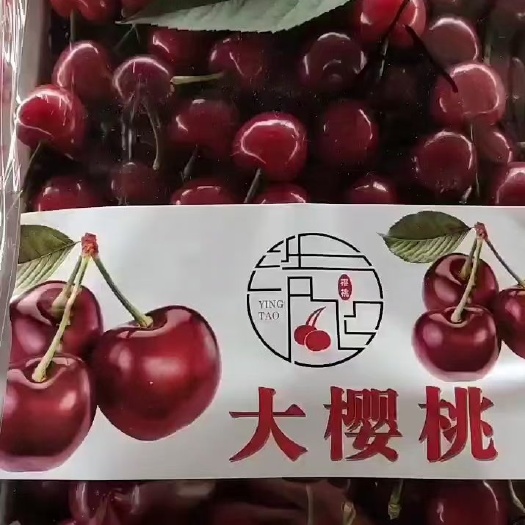 莒县樱桃，产地直销货源充足质量很好，可全国发货，保质保量，