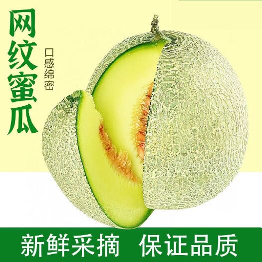 寿光市玫珑网纹瓜，一件代发，对接电商，社团，市场供货