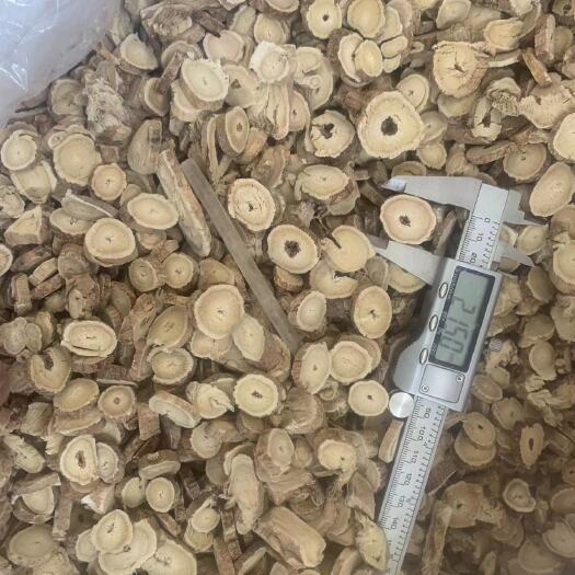 临江市东北大片黄芪