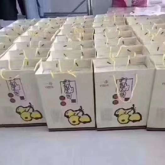 宁海县宁海白枇杷