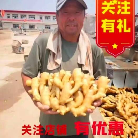 沂水县安丘小黄姜产地直销，各种姜段价格美丽。真正的一手货全国发货。