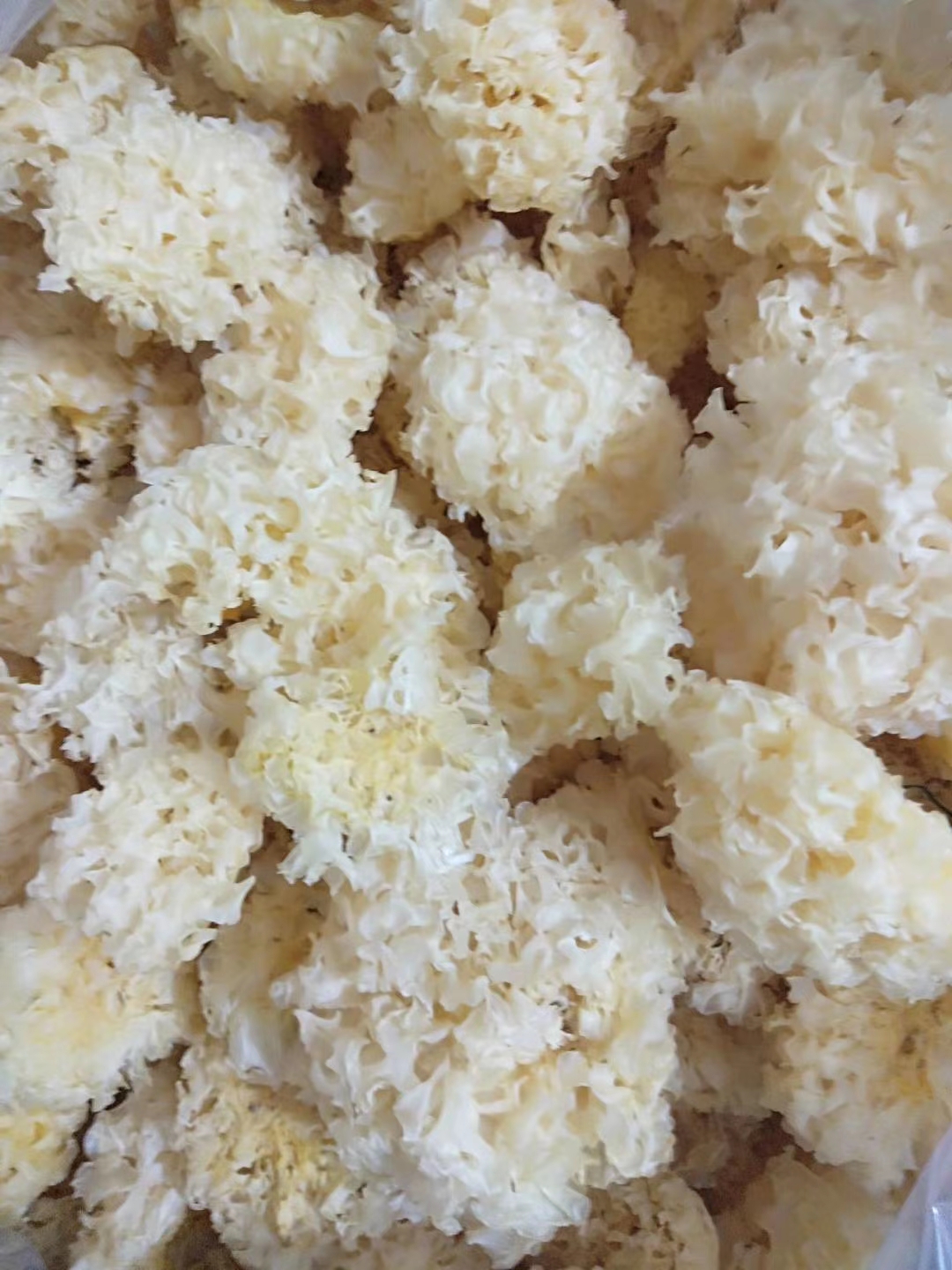 产椴木银耳，农户产地一手货源，水洗银耳质量优良