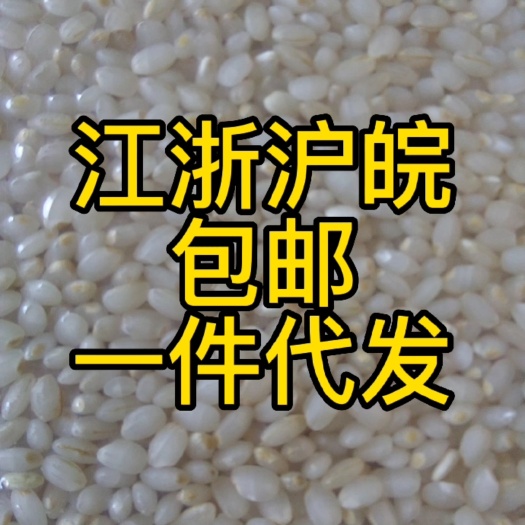 常熟市现碾胚芽米2斤一袋真空包装5袋，门店购买支持不好吃包退换