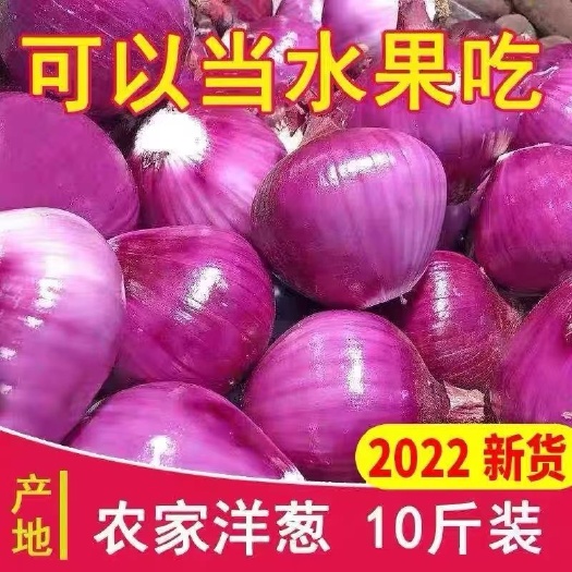 富平县陕西红皮洋葱