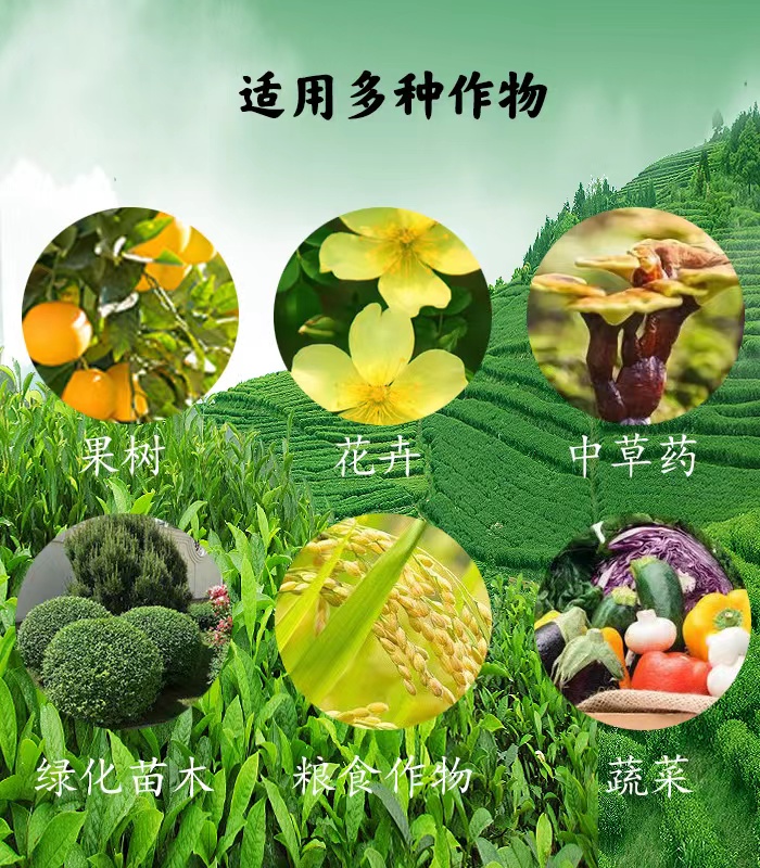 源沃微生物菌剂(防腐跟专用)有机质85% 有益菌10亿/克