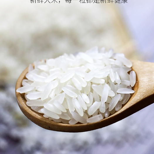 上犹县批发热卖农家米江西乡下米不抛光不打蜡大米高山原米香软