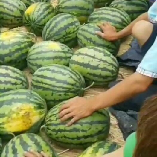 甜王西瓜大量上市，价格美丽，欢迎大家订购