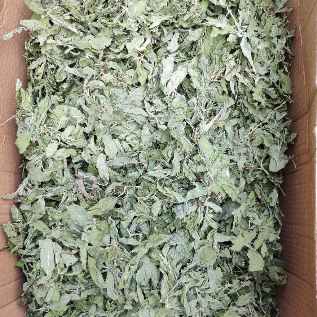 干薄荷茶新鲜薄荷茶天然食用清凉茶清新口气夏季花茶薄荷叶干