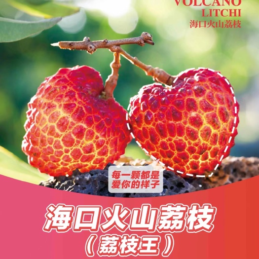 热带雨林特产，火山岩孕育的荔枝王