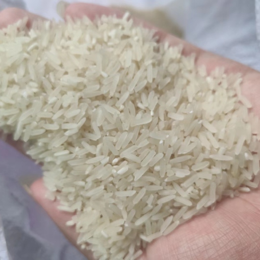绿色食品 晚香优