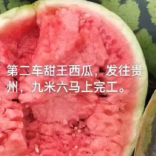 砀山县甜王西瓜，安徽甜王，个大，皮薄，保证质量，代发全国