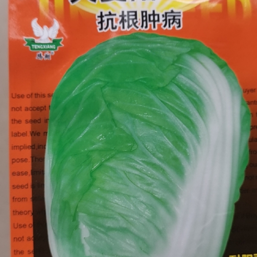 成都大夏阳668