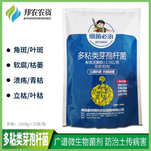 临沂多粘类芽孢杆菌根腐青枯软腐病角斑叶斑病微生物菌剂土壤土传病害