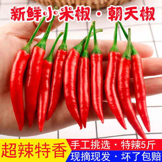 南宁小米椒新鲜5斤小米椒辣椒新鲜三斤朝天椒指天椒特辣现摘红辣椒