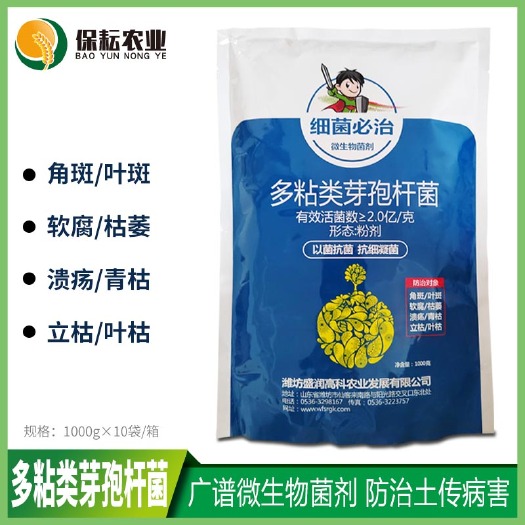 临沂多粘类芽孢杆菌根腐青枯软腐病角斑叶斑病微生物菌剂土壤土传病害