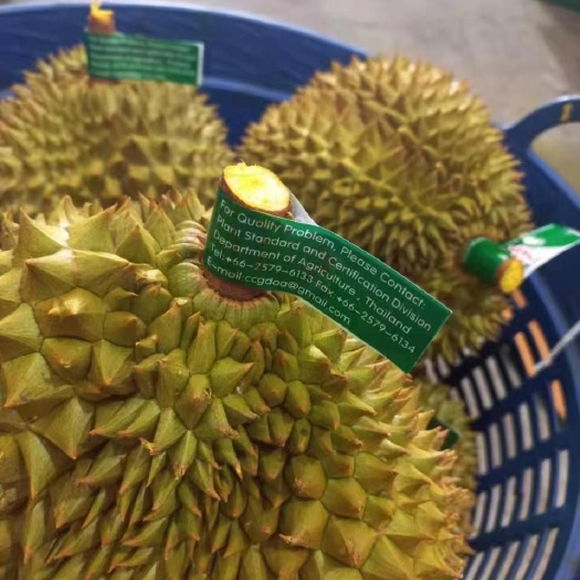 昆明泰国榴莲金枕榴莲A级B级果