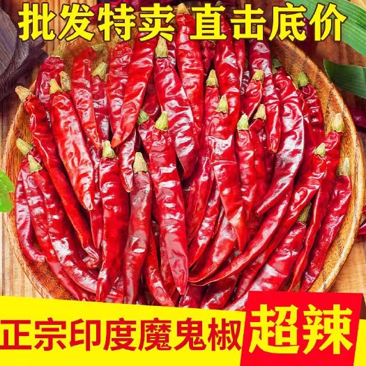 焦作特辣干辣椒小米椒印度椒魔鬼椒干红辣椒朝天椒干辣椒批