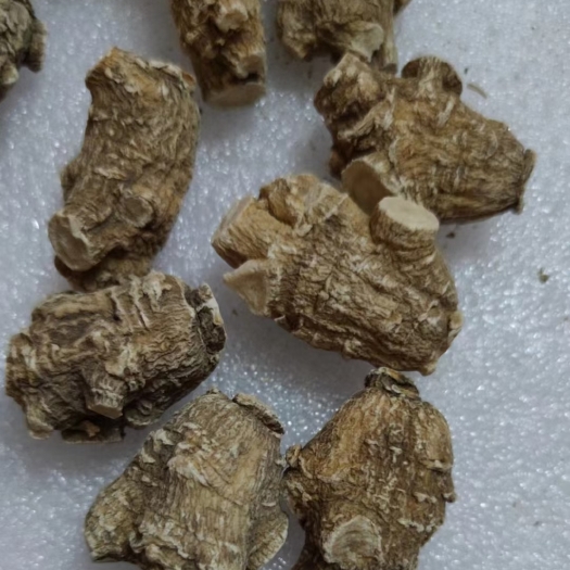 广州精选美种西洋参粒头7克粒头参味浓郁，价格实惠