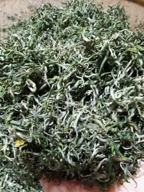 古丈县黄金茶1号