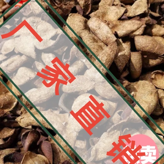 广州【热销推荐】新会陈皮，三花皮，厂家直销量大来电咨询，价格优势