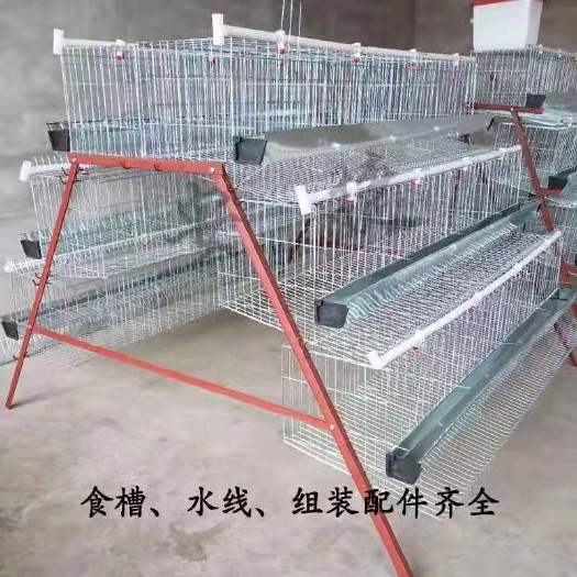南阳鸡笼