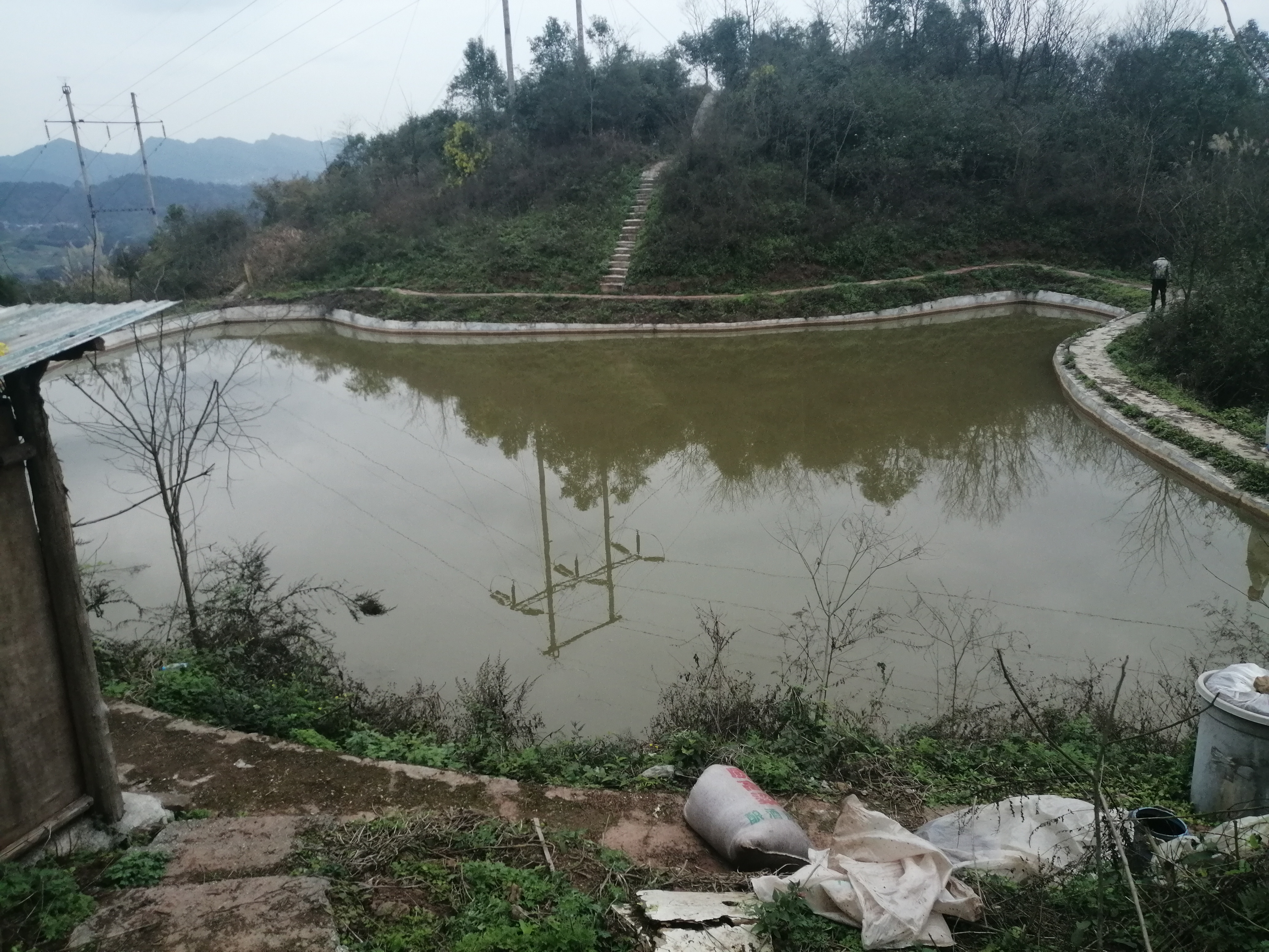 重庆巴南安澜镇小龙村100亩养殖文旅项目，6万一年