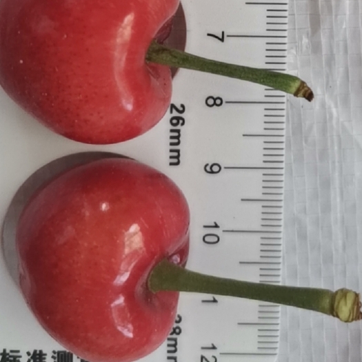 新泰市撒米脱大量上市，自家果园现货现发