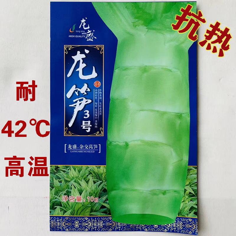 沭阳县莴笋种子抗热莴笋品种莴笋新种子龙笋3号种子包邮三青皮莴笋种子