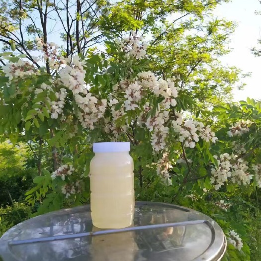 武汉槐花蜂蜜