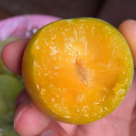 镇宁县甜的像蜂蜜一样甜得像蜂蜜一样甜的像蜂蜜一样