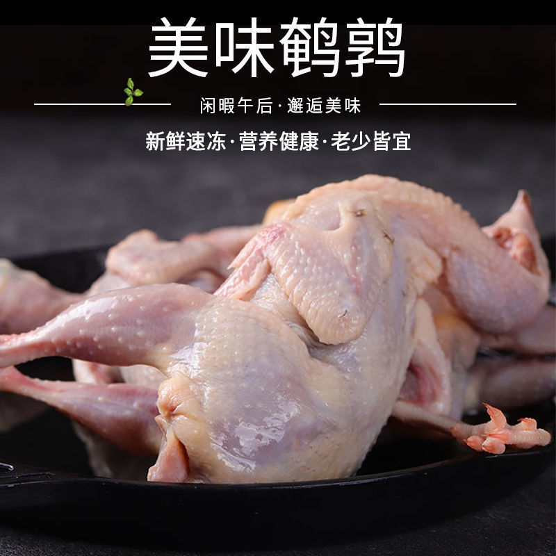 广州大鹌鹑 现杀鹌鹑放血去内脏 活体新鲜白条鹌鹑肉乳鸽烧烤