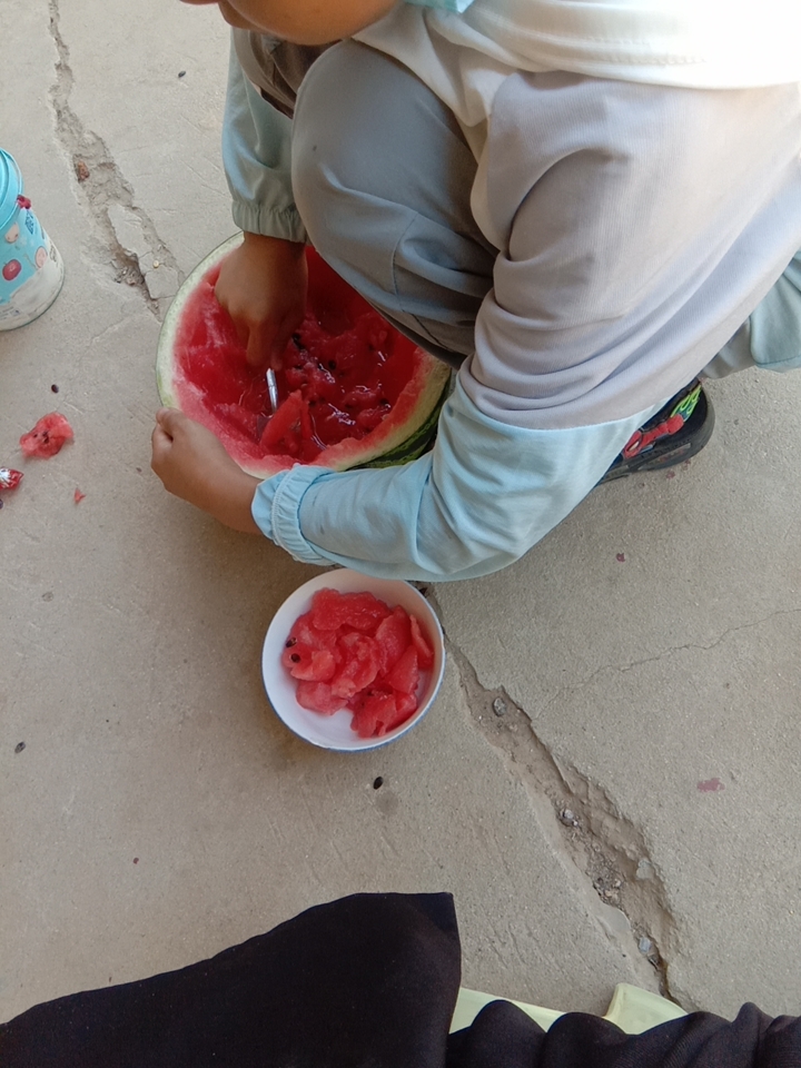 甜王西瓜 河北清苑西瓜热销中