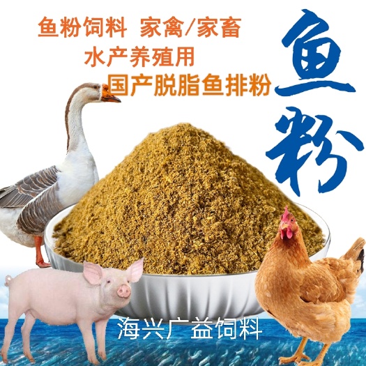 海兴县国产脱脂鱼粉鱼排粉鸡鸭鹅猪用饲料宠物添加饲料添加剂打窝饵料