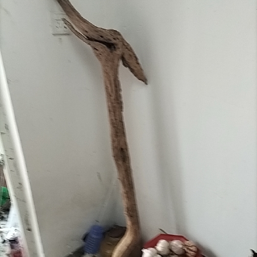 扶绥县苏木龙头拐仗原木
