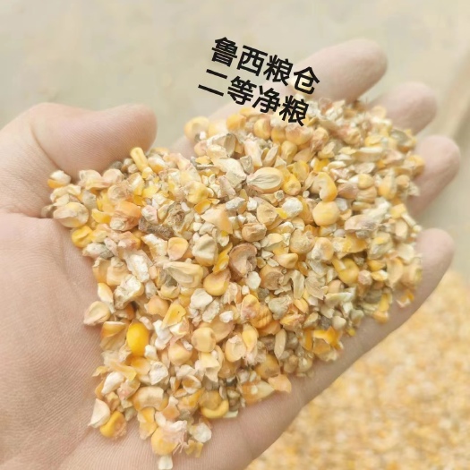 郓城县豆粕饲料