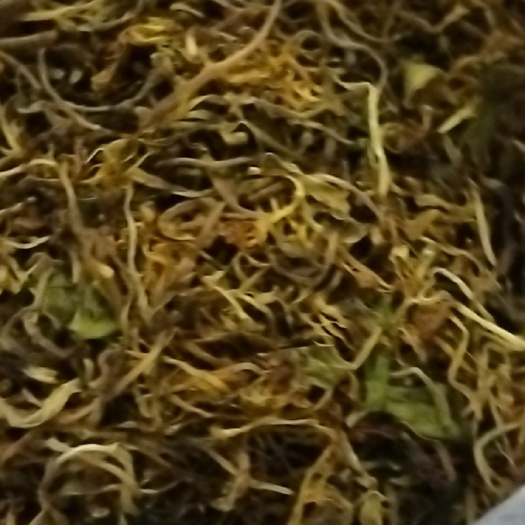天然金银花  无硫自然晒干