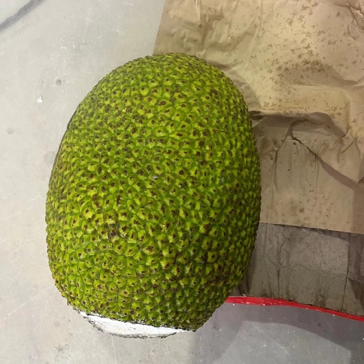 凭祥市越南红肉菠萝蜜场地直销