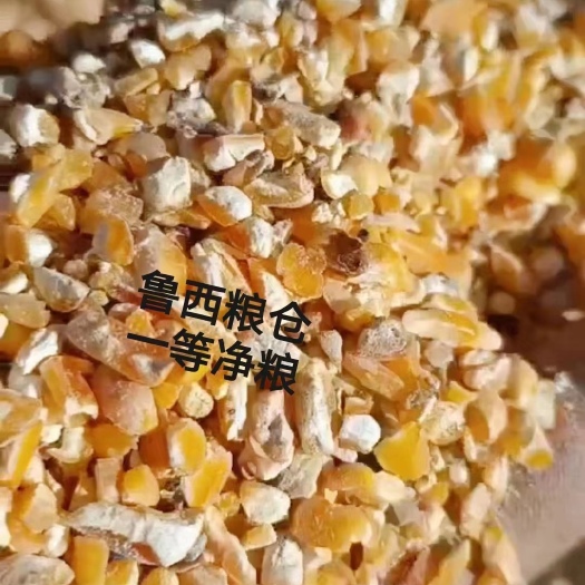 郓城县无土无沙无霉变
