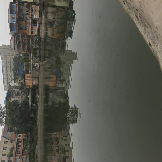 重庆市歌乐山森林公园周边12亩钓场出租，占地十二亩左右。