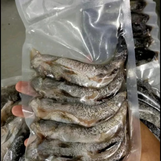 三亚鲜活加工