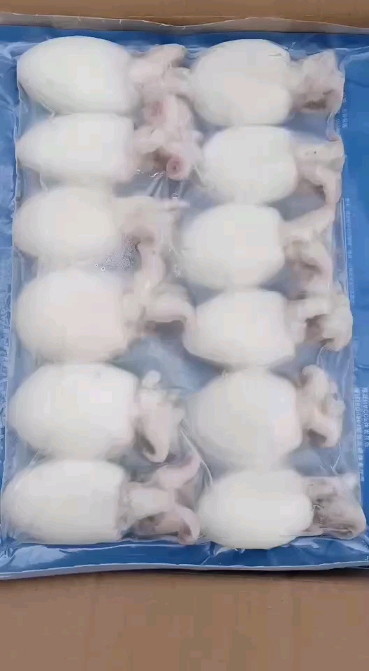 A级小墨鱼《每件十二包》
