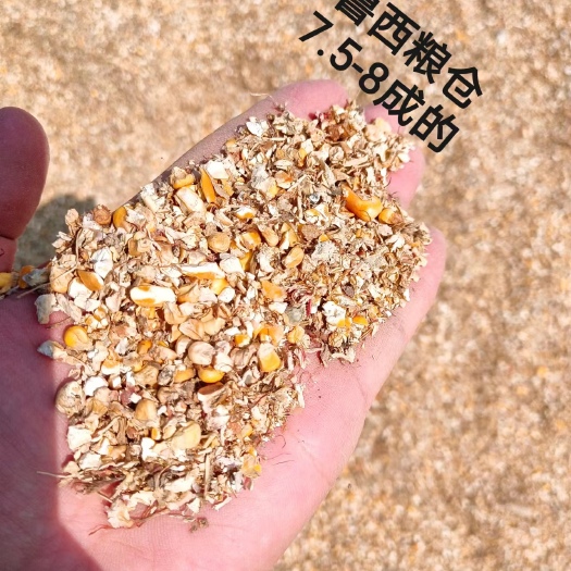 郓城县无土无沙无霉变