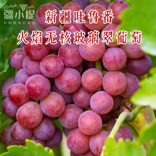 顺丰冷链~2025新疆吐鲁番火焰无核玻璃翠葡萄