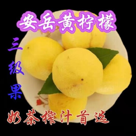 安岳县安岳黄柠檬，自家果园产地直发，新鲜多汁，带箱称重