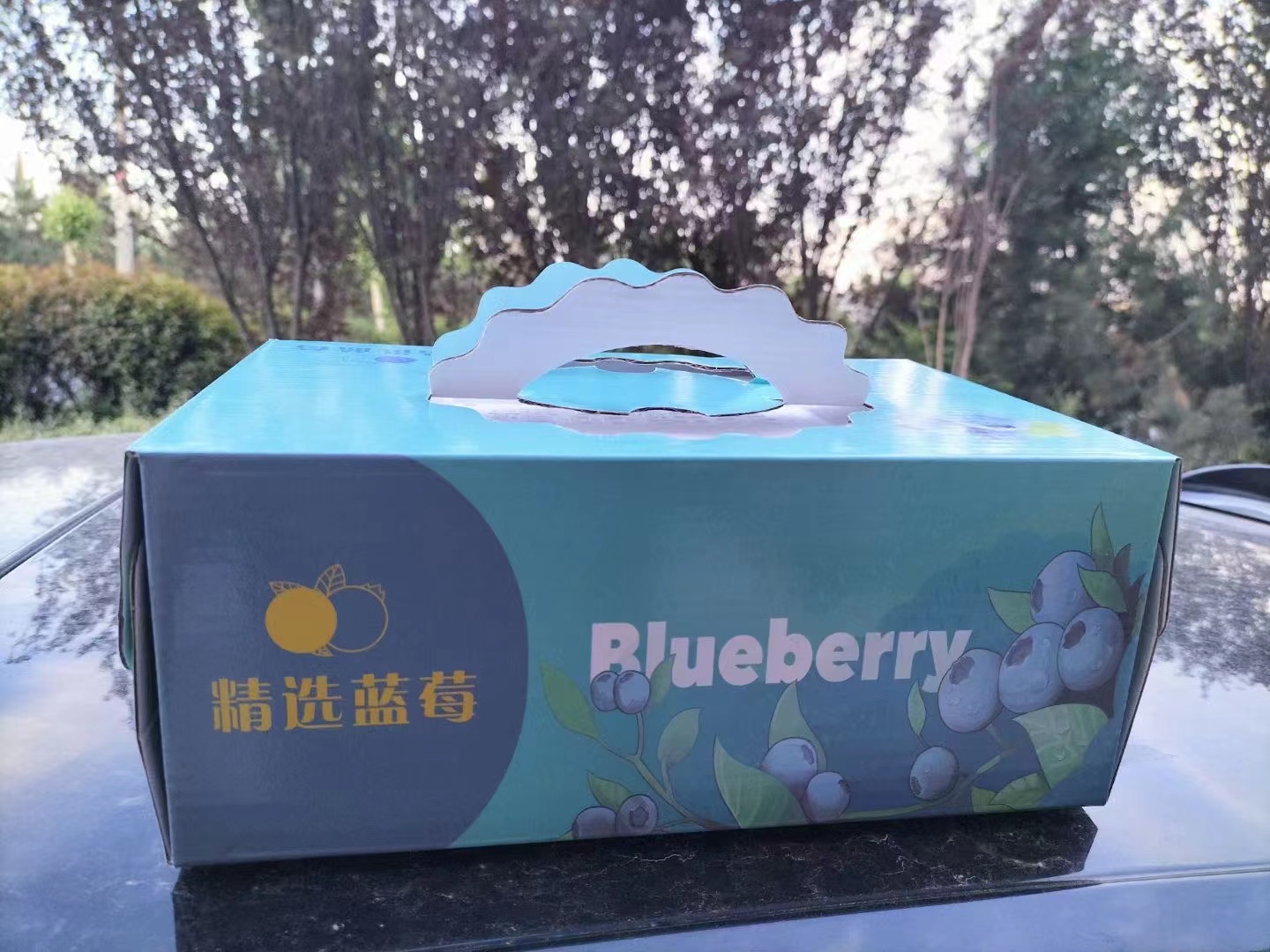 团购款当天采摘蓝莓，粒果，又大又甜，非冷库货
