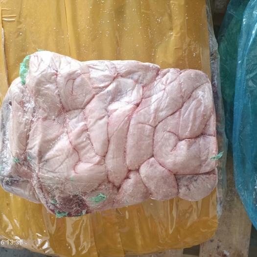 哈尔滨母猪冻生肠