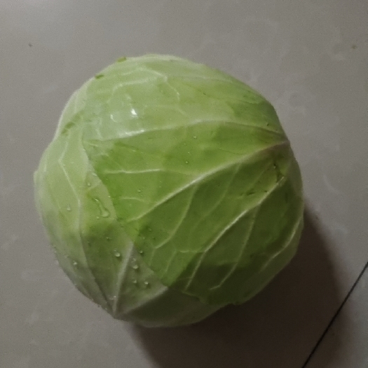 钟祥市包菜