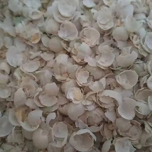 石家庄豌豆皮