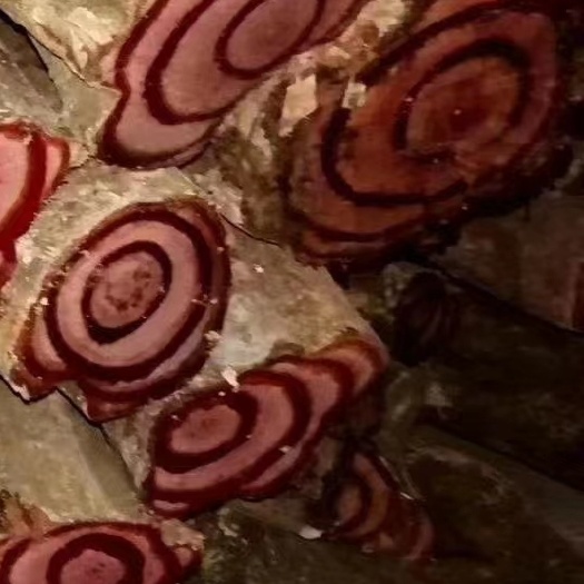 昌宁县大量批发鸡血藤
